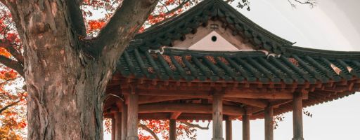 Acupunctuur, een eeuwenoude geneeswijze