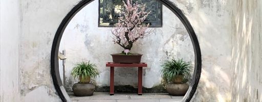 Dr. Tan’s Balans Methode